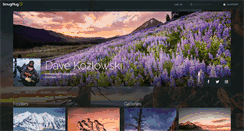 Desktop Screenshot of davekozlowski.com
